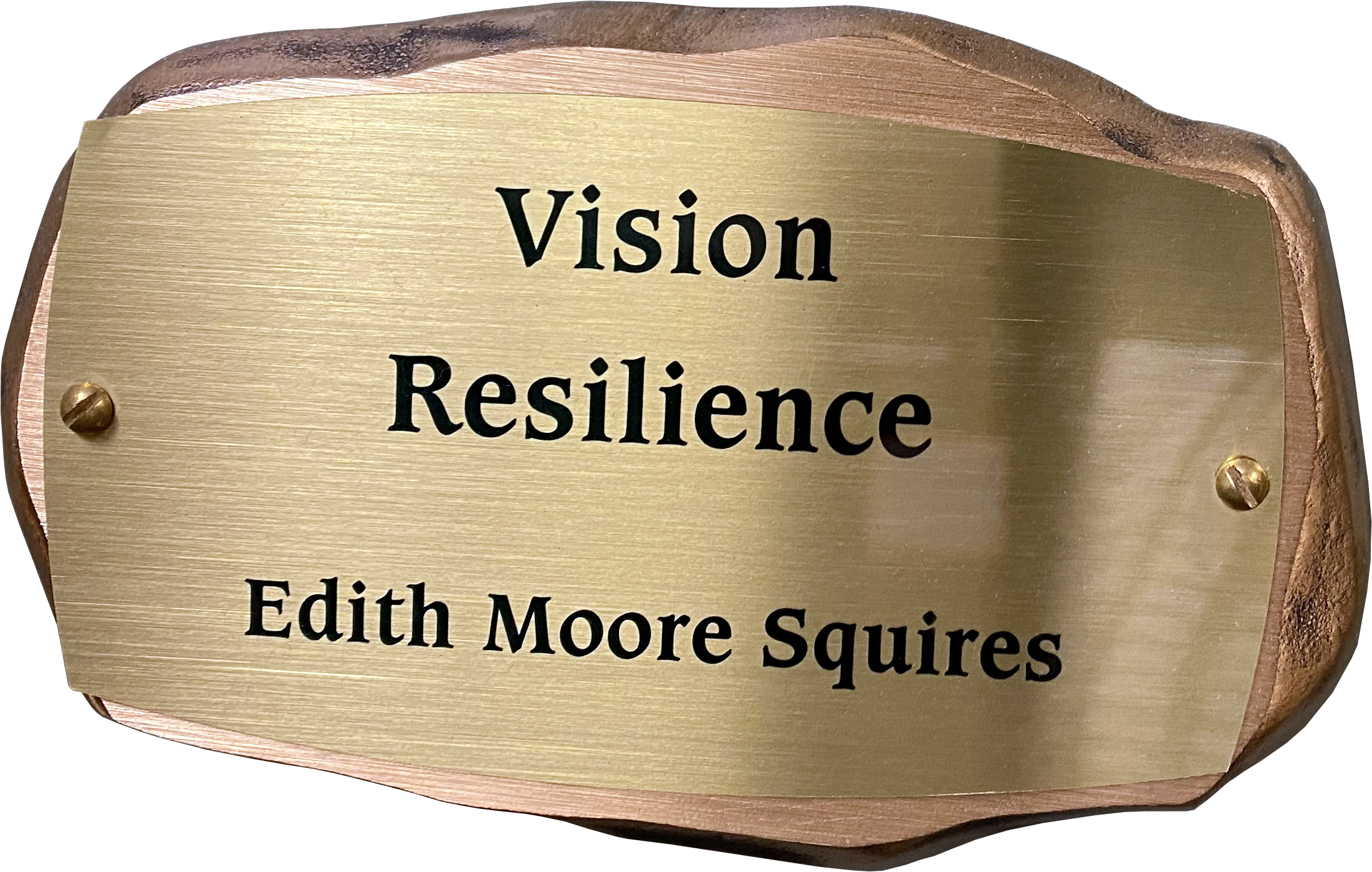 Inscribed bronze plaque in the shape of a rock with text on it reading: Vision, Resilience. Edith Moore Squires