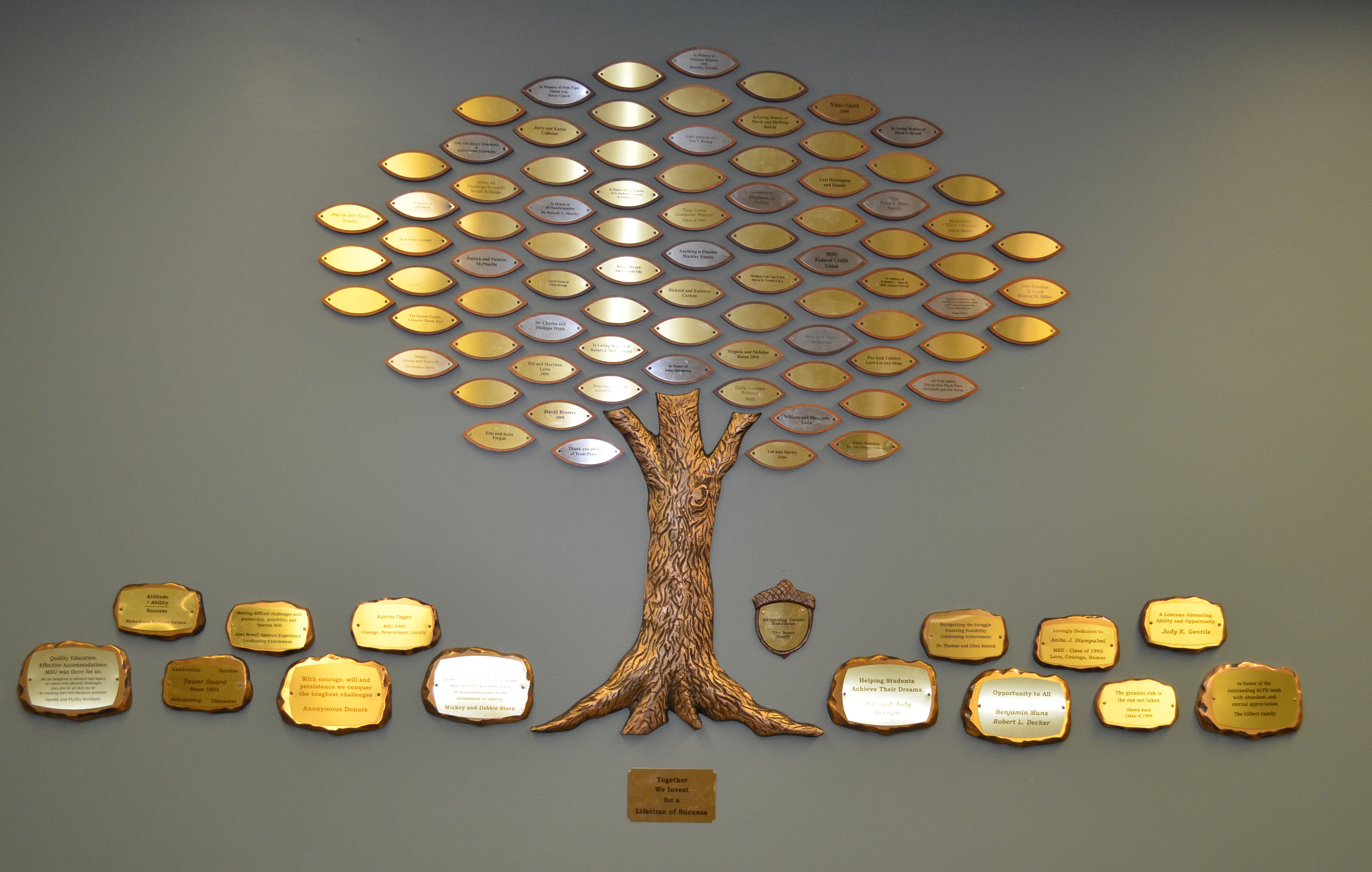 Photograph: RCPD donor tree depicting inscribed leaves, rocks, and acorns