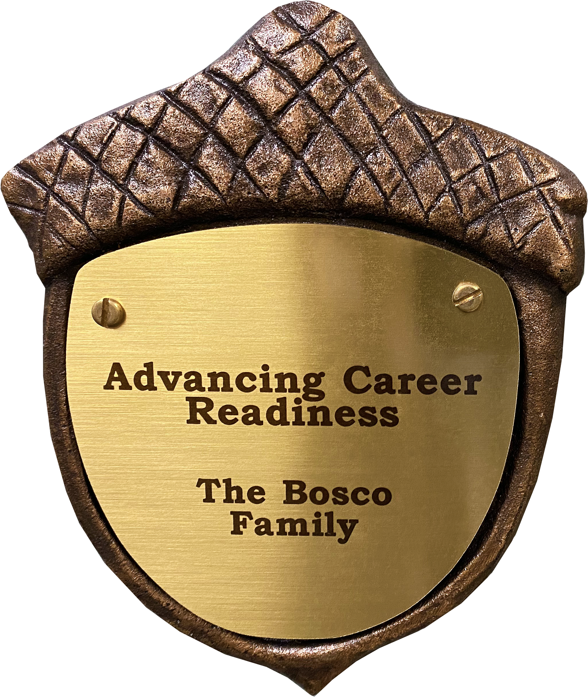 Inscribed bronze plaque in the shape of an acorn with text on it reading: Advancing Career Readiness. The Bosco Family