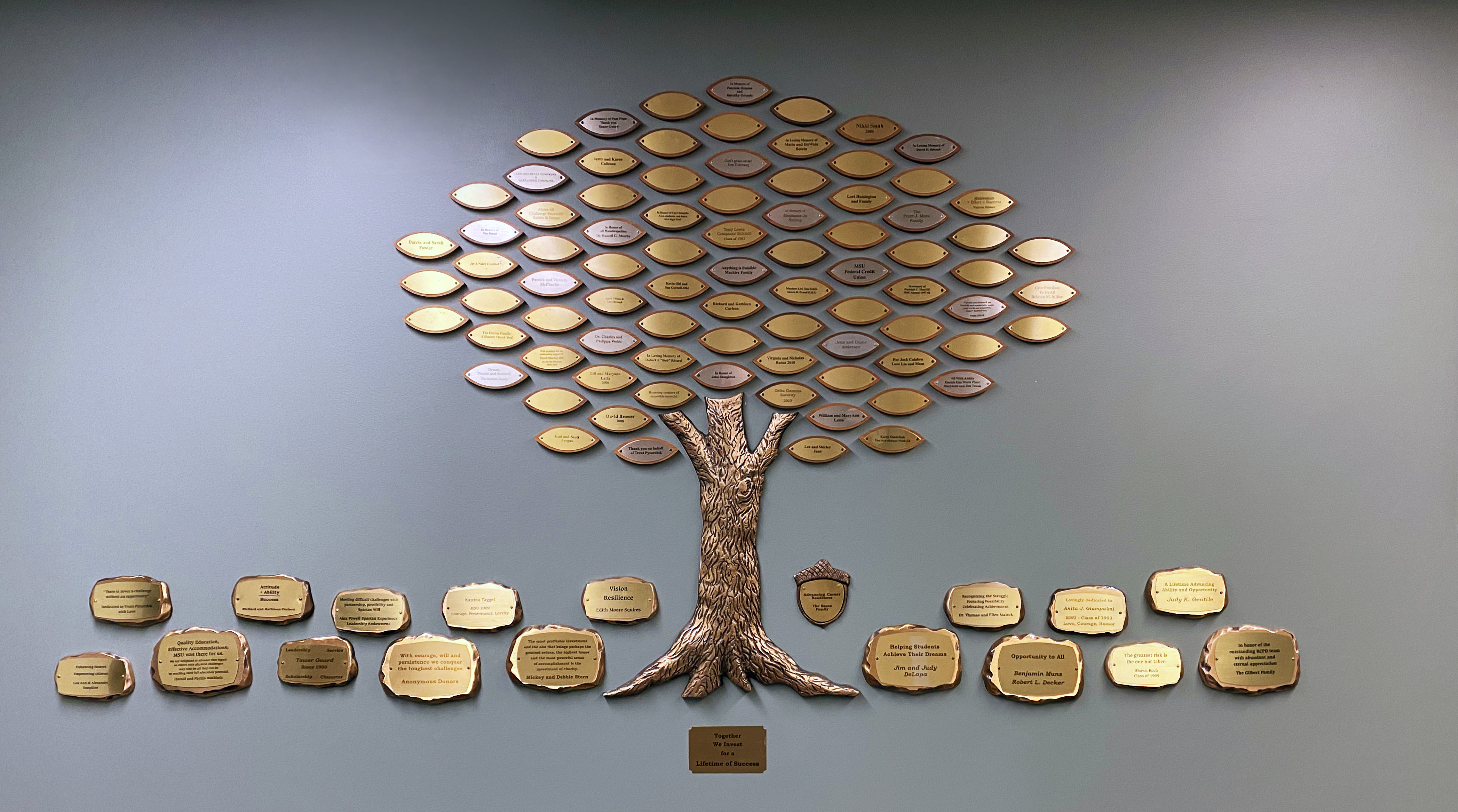 Photograph: RCPD donor tree depicting inscribed leaves, rocks, and acorns