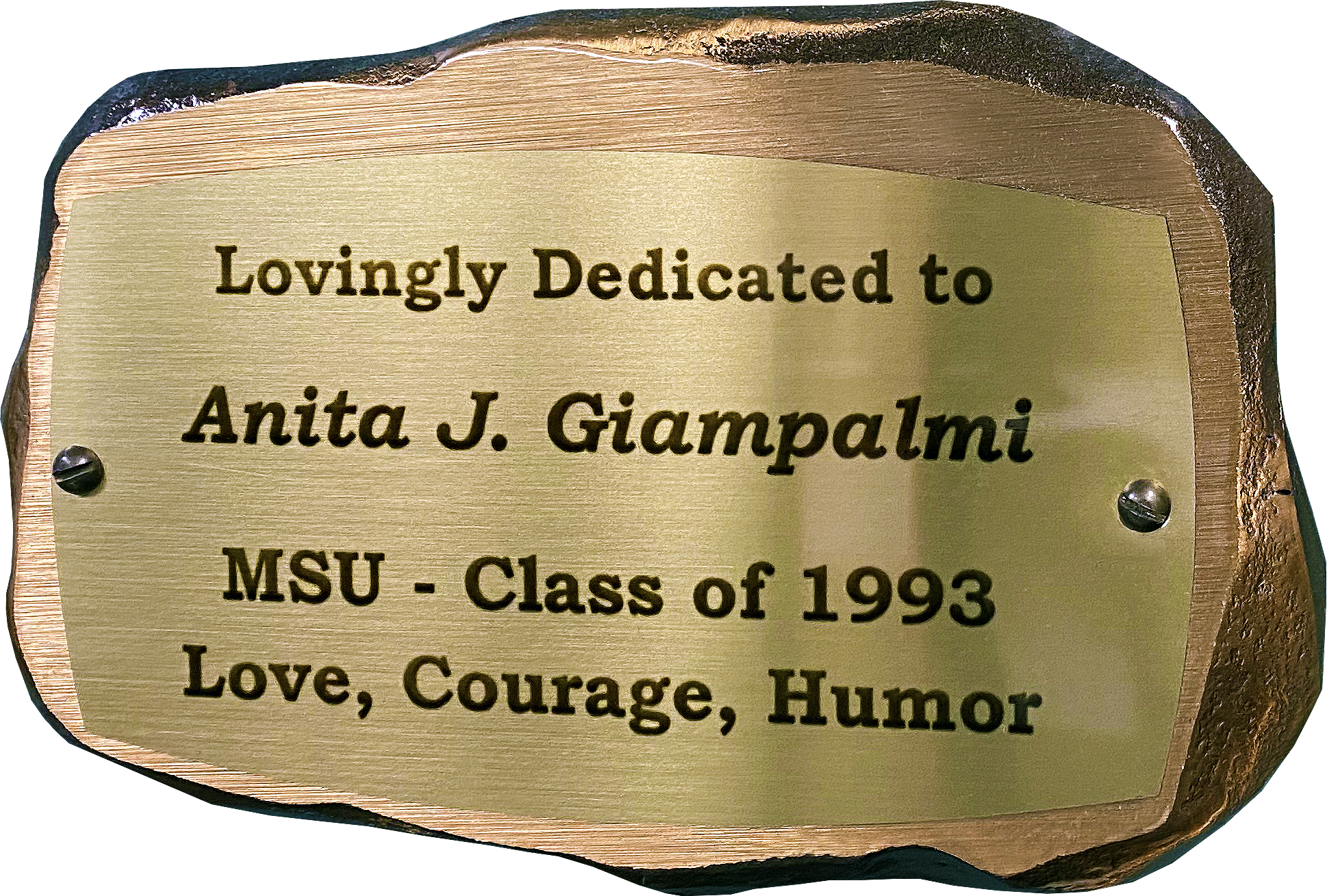 Inscribed bronze plaque in the shape of a rock with text on it reading: Lovingly Dedicated to Anita J. Giampalmi. MSU - Class of 1993. Love, Courage, Humor. 