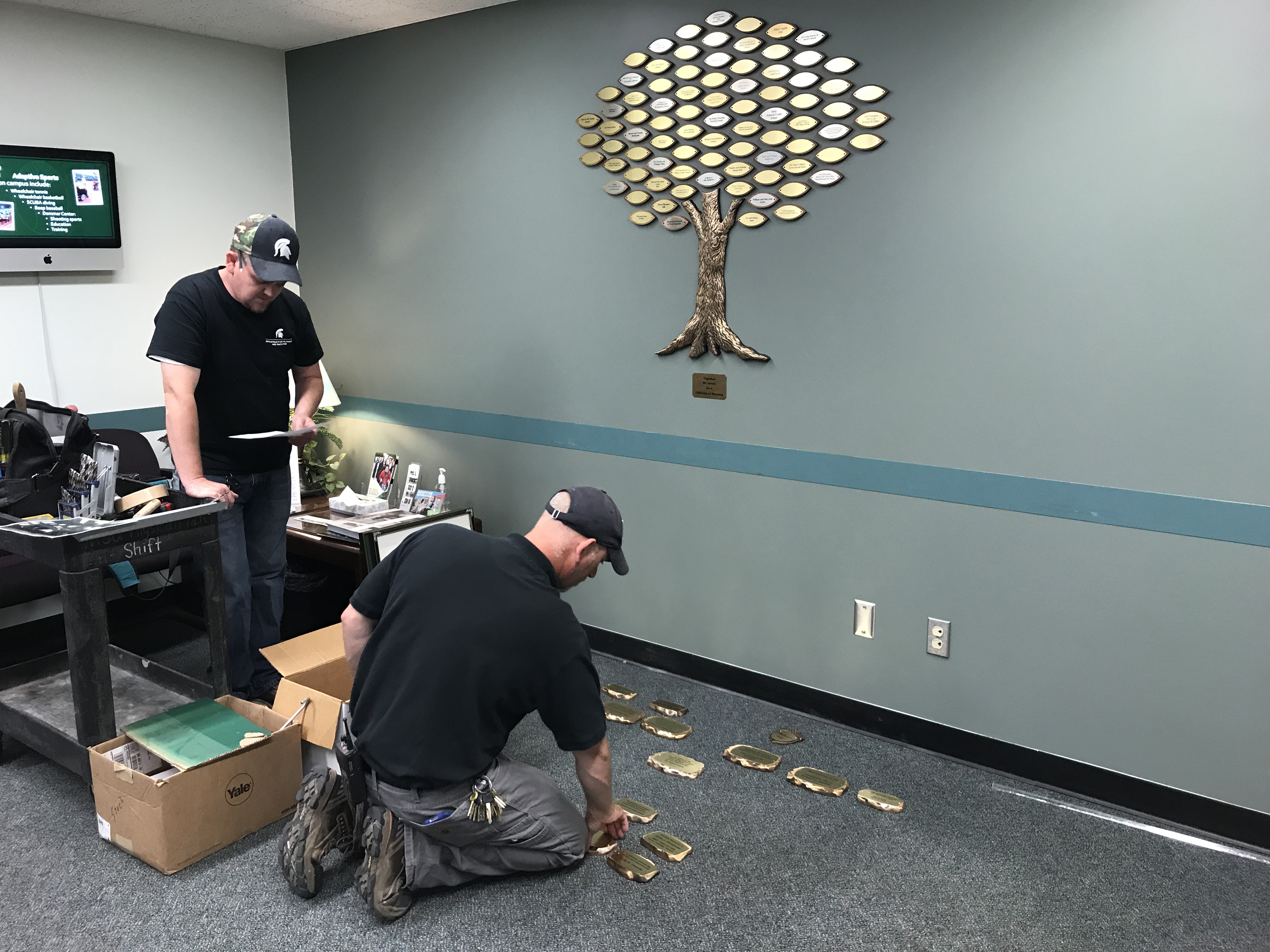 Photo of IPF team continuing work on mounting the tree and leaves