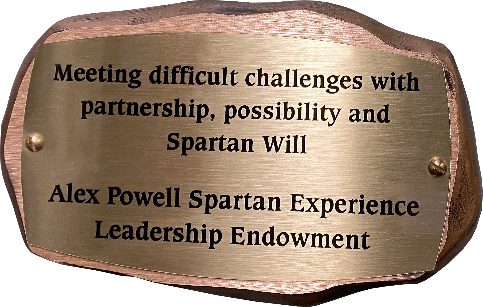 Inscribed bronze plaque in the shape of a rock with text on it reading: Meeting difficult challenges with partnership, possibility and Spartan Will. Alex Powell Spartan Experience Leadership Endowment