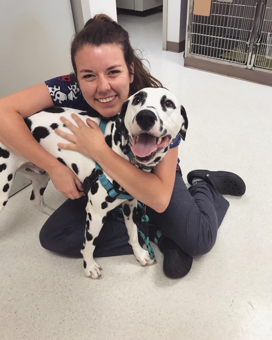 Christina on the floor in a veterinary office hugging a black and white dalmatian dog