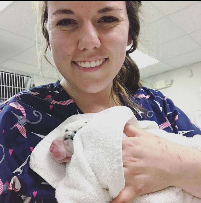 Christina in a veterinary office setting holding a small, baby animal wrapped in a towel. Christina is smiling and looking at the camera