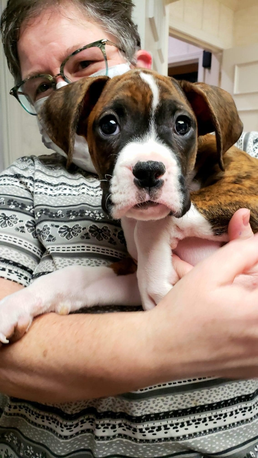 Image of Robyn with a boxer puppy at her clinic