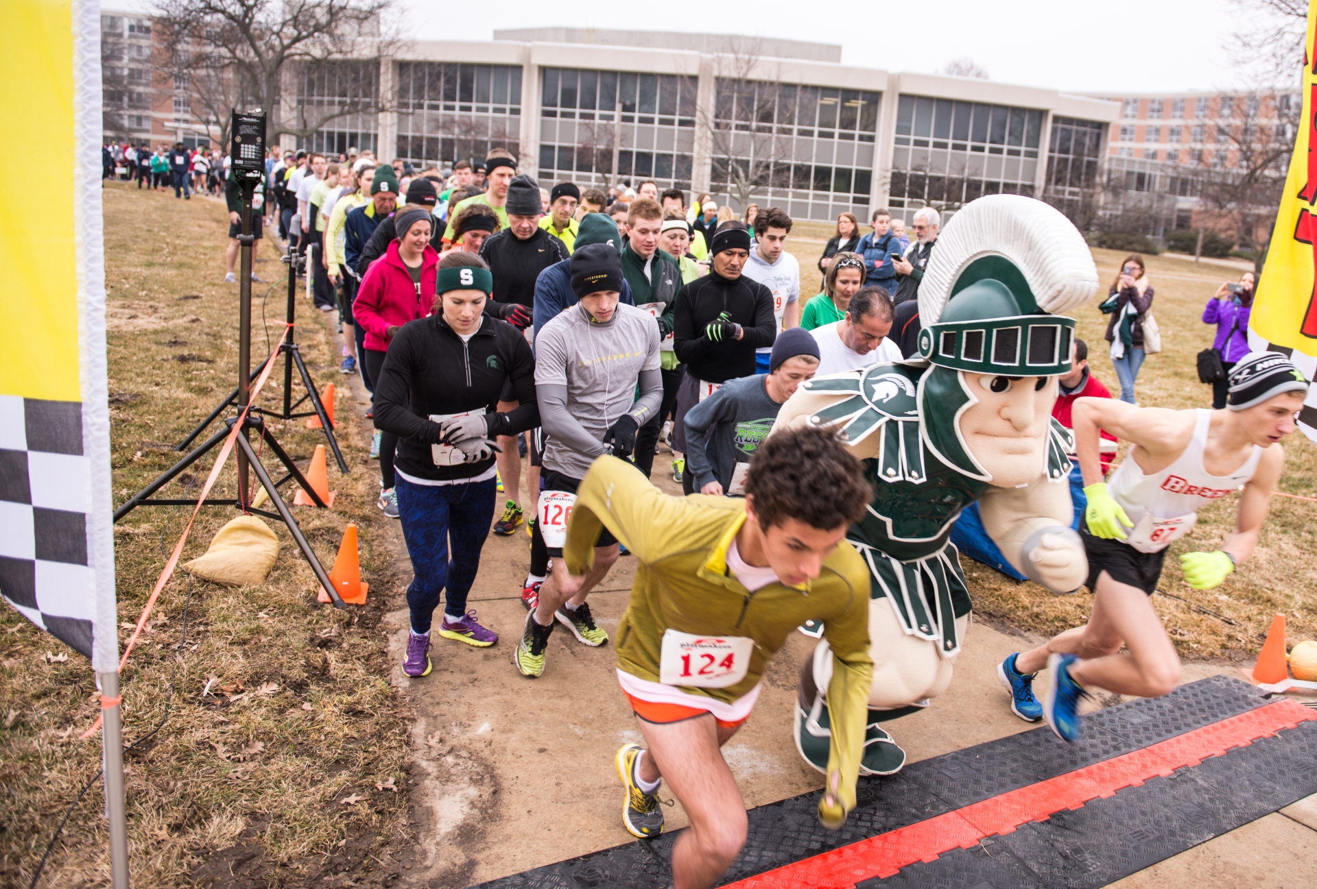Sparty running across the starting line with Shamrock 5K participants