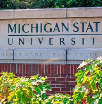 The MSU sign framed by a green bush