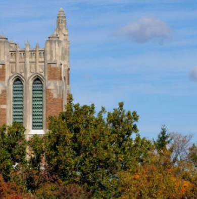 The top of Beaumont Tower peeking out amongst trees as their leaves turn from green to orange and yellow. The sky is blue. 